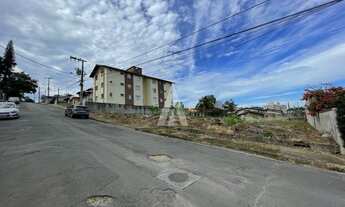 Imagem 7: JOINVILLE - Terreno Padrão - Bom Retiro