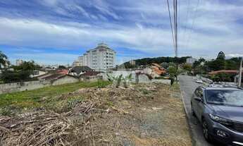 Imagem 5: JOINVILLE - Terreno Padrão - Bom Retiro
