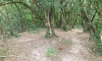 Imagem 2: Sítio para venda em Porangaba tem 48.400 m2