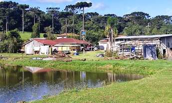 Imagem 7: Excelente Chácara