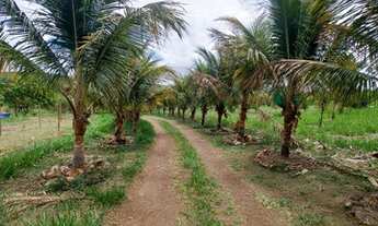 Imagem 4: Chácara a venda em Cocalzinho Condomínio Na beira do corrego Parque das Águas
