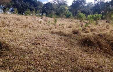 Imagem 6: Fazendinha Itaguara - 16 hectares