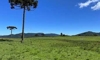 Imagem 7: Área Rural com 30,00ha de área total, para venda. Jararaca, Urubici (SC