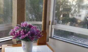 Imagem 2: Apartamento para venda com 145 metros quadrados com 3 quartos em Zona Nova - Capão da Cano