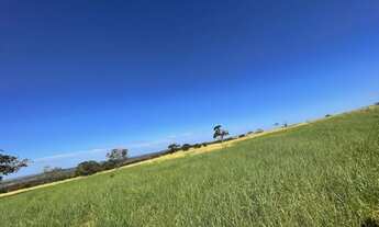 Imagem 3: Fazenda Primavera do leste