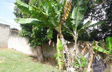 Imagem 7: CHACARA RESIDENCIAL em BRAGANÇA PAULISTA - SP, JARDIM VISTA ALEGRE