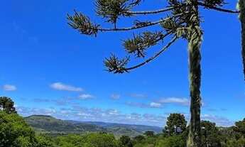 Imagem 4: Área Rural com 30,00ha de área total, para venda. Jararaca, Urubici (SC