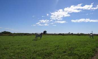 Imagem: Fazenda de 900 alqueires no vale do Araguaia