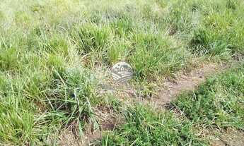 Imagem 5: Vale do Anari - Sítio - 15 Alqueires