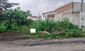 Imagem: Lote de 10 X 20, Parque Verde, Nova Esperança