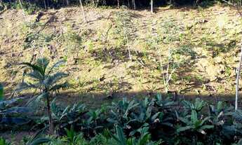 Imagem 5: Sítio 6 alqueires ( Willian Ricardo