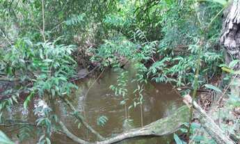 Imagem 4: Vendo fazenda em Arinos/MG