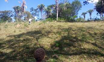 Imagem 9: FAZENDA 5 ALQUEIRES TERRA DE CULTURA COCALZINHO GOIAS