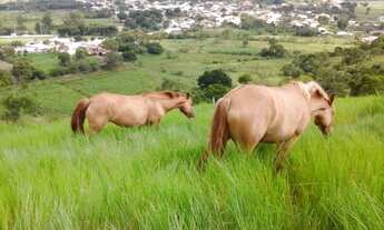 Imagem: Gov. Celso Ramos Fazenda/Sítio/Chácara