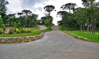 Imagem 4: CAXIAS DO SUL - Terreno Padrão - São Ciro