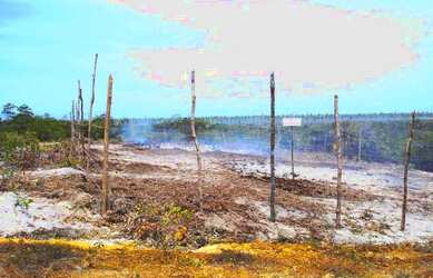 Imagem 5: Loteamento Lagoas da Praia do Forte, Mata de São João