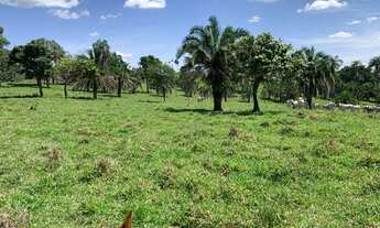 Imagem 4: Oportunidade! Vende-se uma bela fazenda de 18 Alqueires