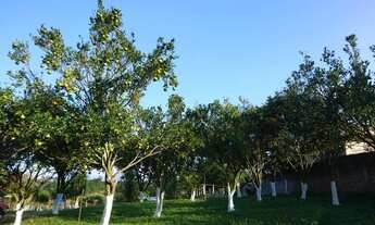 Imagem 4: Chácara para venda em Ferraz de Vasconcelos - SP