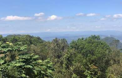 Imagem 7: CH15 Chácara/Casa a venda com 71 metros quadrados com 2 quartos em Zona Rural - Igrejinha