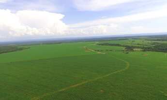 Imagem 6: Venda Fazenda em Nobres, 800 hectares + casa de funcionário e sede + barracão + poço artes