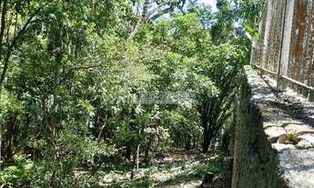 Imagem 5: TERRENO - LAGOA DA CONCEIÇÃO