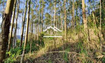 Imagem 5: Área de terras com bela vista no alto de Nova Petrópolis na serra gaúcha