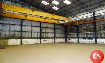 Imagem 7: São Paulo - Galpão/Depósito/Armazém - Jardim São Luís