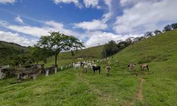 Imagem 2: Área de 9,75 Alqueires ao lado da Rod. Carvalho Pinto em Jacareí