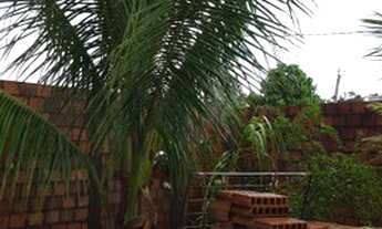 Imagem 7: Linda casa na Ilha de Vera Cruzs