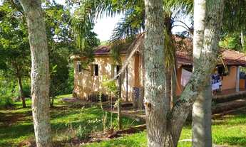 Imagem 6: Chácara para Venda em Piraju, rural, 3 dormitórios, 2 banheiros, 2 vagas