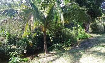 Imagem: Terreno em Jaceruba