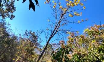 Imagem 6: Chácara em Ravena