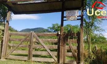 Imagem 2: V836- Excelente Sítio para venda em Sete Barras - Cod Imovel V836