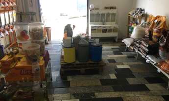 Imagem 6: Oportunidade, Anúncio retificado