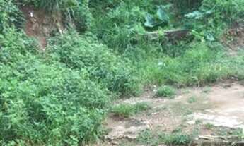 Imagem 3: Terreno em São Marcos Pronto pra Construir