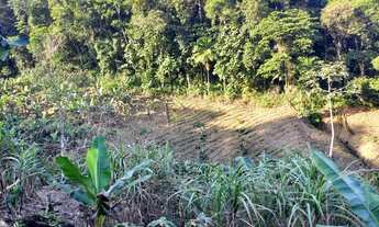 Imagem 2: Sítio 6 alqueires ( Willian Ricardo