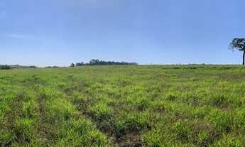 Imagem 3: Porto Feliz - Terrenos de 8.000 m2