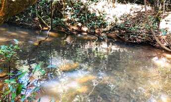 Imagem 7: Lote 1000m2 p duas pessoas