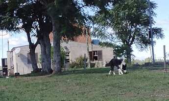 Imagem 3: Vendo sítio 26 hectares