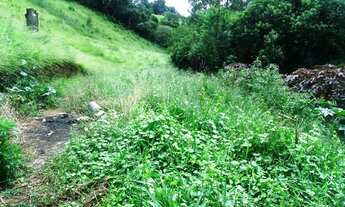 Imagem 3: Terreno no asfalto Bairro da Faisqueira
