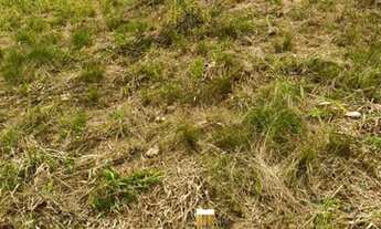 Imagem 4: GF3-Lote/Terreno para venda com 999 metros quadrados em Centro - Mairiporã - São Paulo