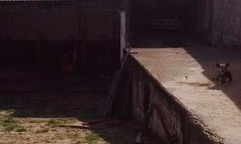 Imagem 3: Galpão - Jardim Galetto