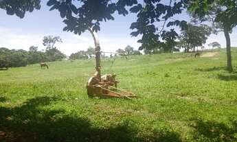 Imagem 6: Oportunidade! Vende-se um espetáculo de fazenda de 155 Hectares