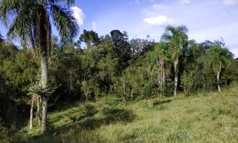Imagem: Terreno no Rio do Meio em Anitapolis - SC