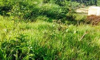 Imagem 6: Vendo terreno 1.500,00 metros quadrados