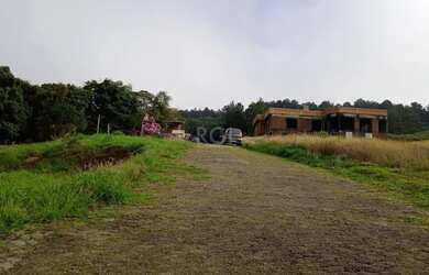 Imagem 6: Terreno para Venda - 4950m², 0 dormitórios, Vila Nova, Porto Alegre