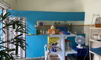 Imagem 3: Vende-se petshop com banho e tosa