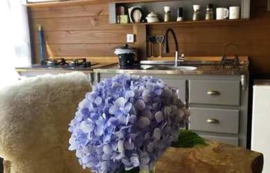 Imagem 3: Lindo sítio em Anitápolis, na serra catarinense