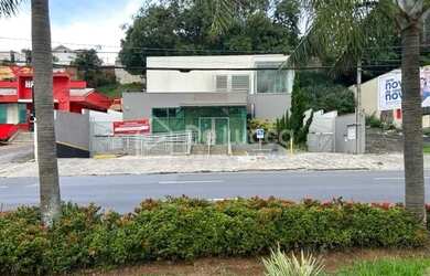 Imagem 6: Casa - Cambuí - Campinas