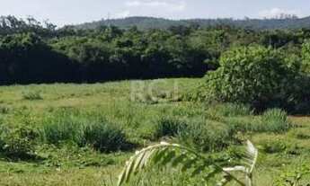 Imagem 5: Sítio em Lami Chácara com venda por R$380.000